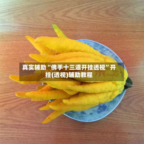 真实辅助“佛手十三道开挂透视”开挂(透视)辅助教程-第2张图片