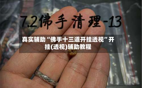 真实辅助“佛手十三道开挂透视”开挂(透视)辅助教程-第3张图片