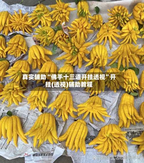 真实辅助“佛手十三道开挂透视	”开挂(透视)辅助教程-第1张图片