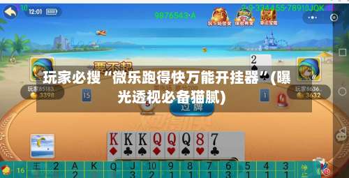 玩家必搜“微乐跑得快万能开挂器”(曝光透视必备猫腻)-第2张图片