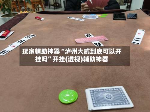 玩家辅助神器“泸州大贰到底可以开挂吗”开挂(透视)辅助神器-第1张图片