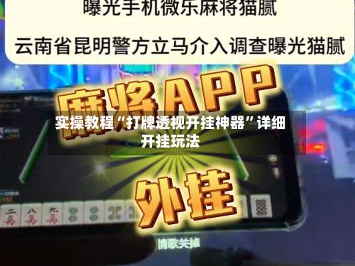 实操教程“打牌透视开挂神器	”详细开挂玩法-第2张图片