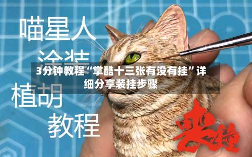 3分钟教程“掌酷十三张有没有挂”详细分享装挂步骤-第2张图片