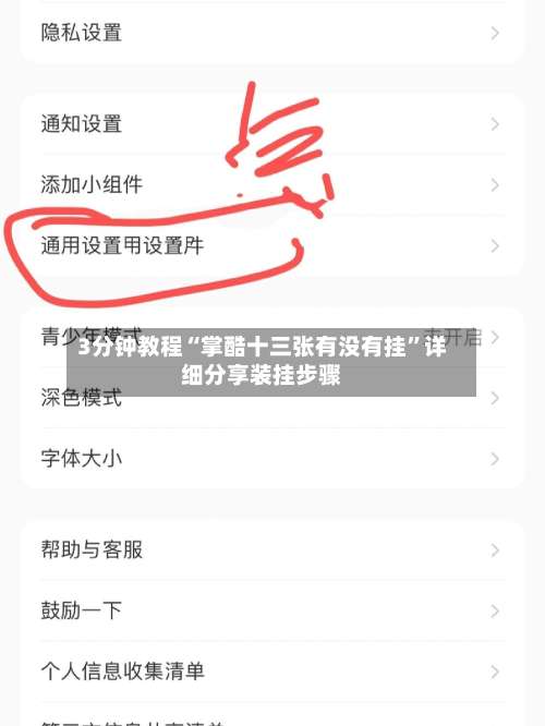 3分钟教程“掌酷十三张有没有挂	”详细分享装挂步骤-第1张图片