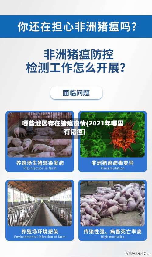 哪些地区存在猪瘟疫情(2021年哪里有猪瘟)-第3张图片