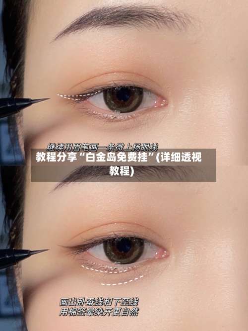 教程分享“白金岛免费挂”(详细透视教程)-第1张图片