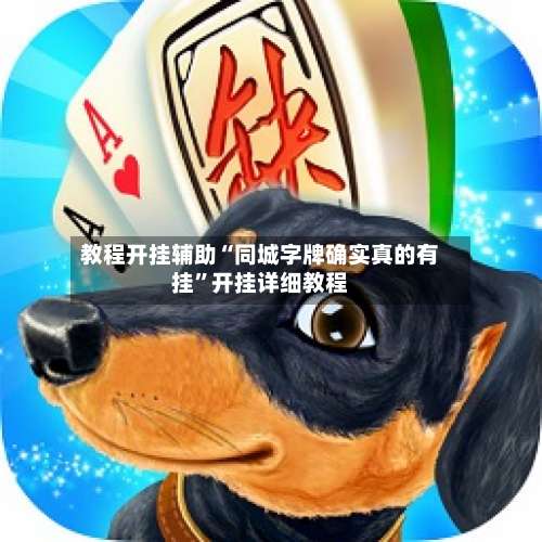 教程开挂辅助“同城字牌确实真的有挂”开挂详细教程-第2张图片