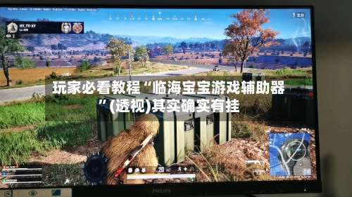 玩家必看教程“临海宝宝游戏辅助器”(透视)其实确实有挂-第2张图片