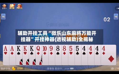 辅助开挂工具“微乐山东麻将万能开挂器”开挂神器{透视辅助}全揭秘-第3张图片