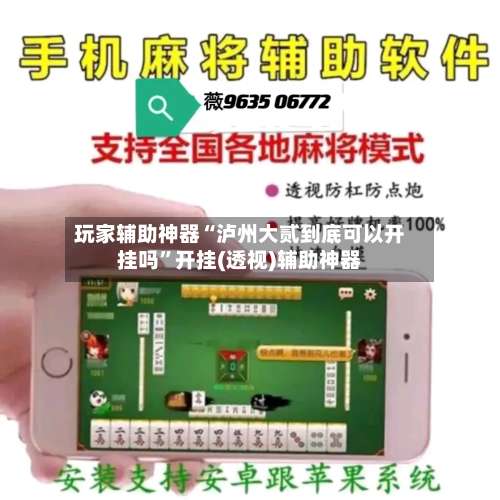 玩家辅助神器“泸州大贰到底可以开挂吗”开挂(透视)辅助神器-第2张图片