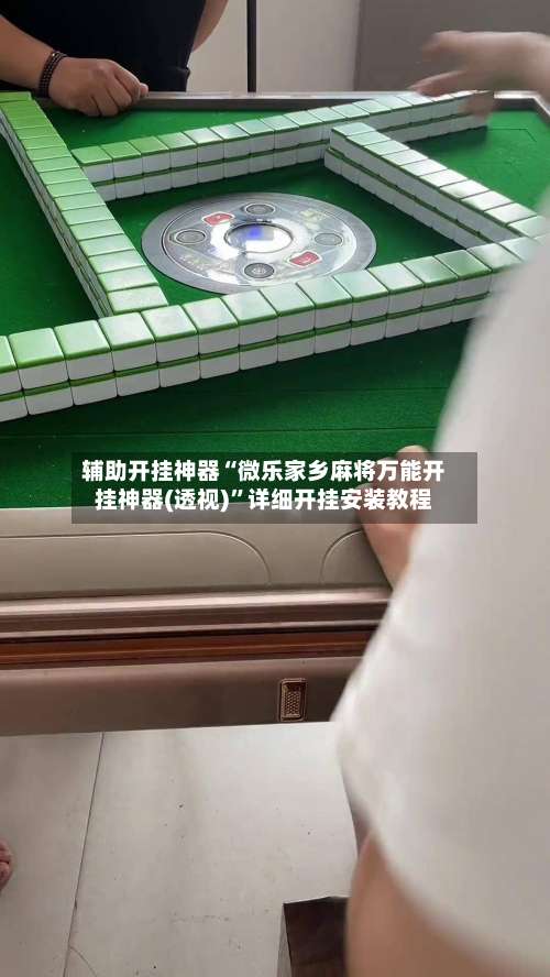 辅助开挂神器“微乐家乡麻将万能开挂神器(透视)”详细开挂安装教程-第3张图片