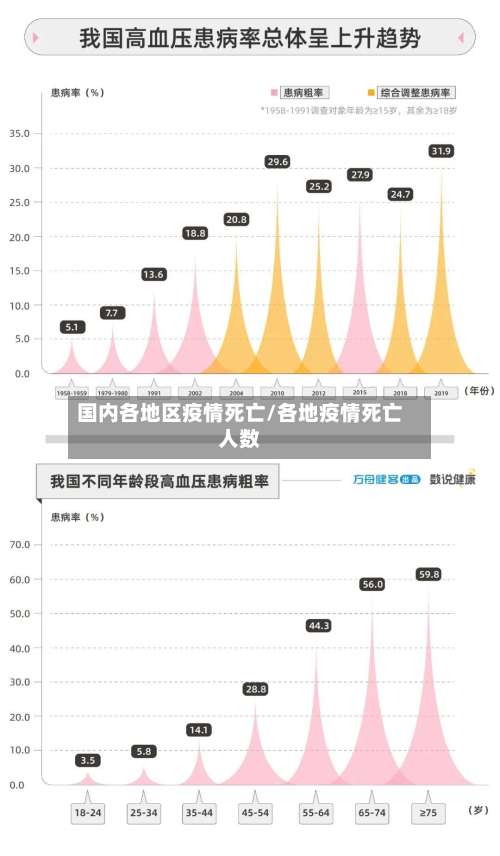 国内各地区疫情死亡/各地疫情死亡人数-第3张图片