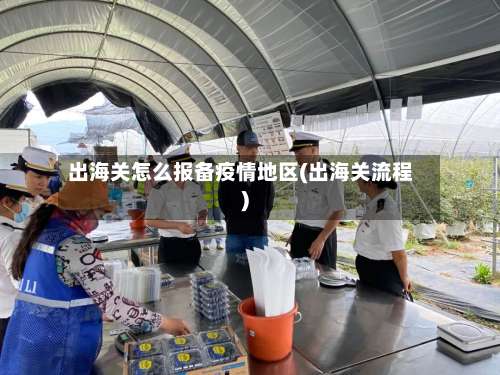 出海关怎么报备疫情地区(出海关流程)-第2张图片