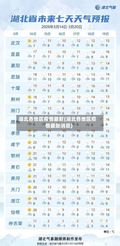 湖北各地区疫情最新(湖北各地区疫情最新消息)-第3张图片