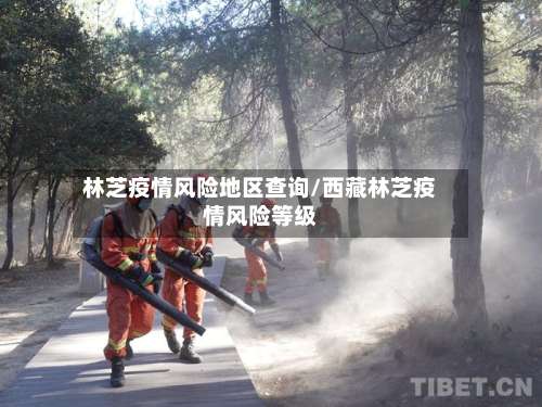 林芝疫情风险地区查询/西藏林芝疫情风险等级-第2张图片