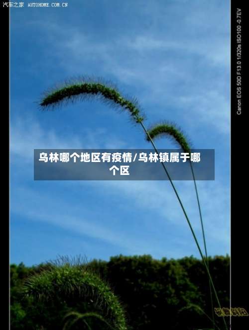 乌林哪个地区有疫情/乌林镇属于哪个区-第1张图片