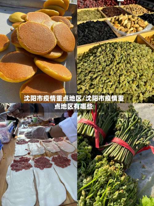 沈阳市疫情重点地区/沈阳市疫情重点地区有哪些-第2张图片