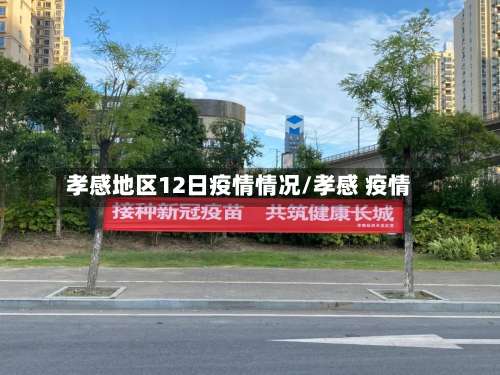 孝感地区12日疫情情况/孝感 疫情-第1张图片