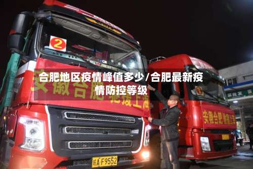 合肥地区疫情峰值多少/合肥最新疫情防控等级-第3张图片