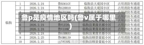 鲁p是疫情地区吗(鲁v属于哪里)-第1张图片