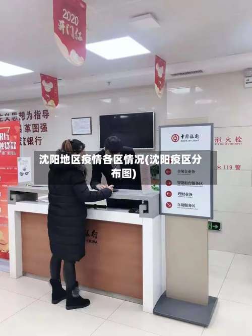 沈阳地区疫情各区情况(沈阳疫区分布图)-第1张图片