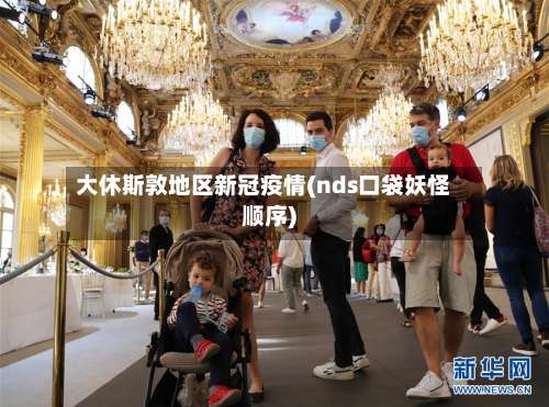 大休斯敦地区新冠疫情(nds口袋妖怪顺序)-第2张图片