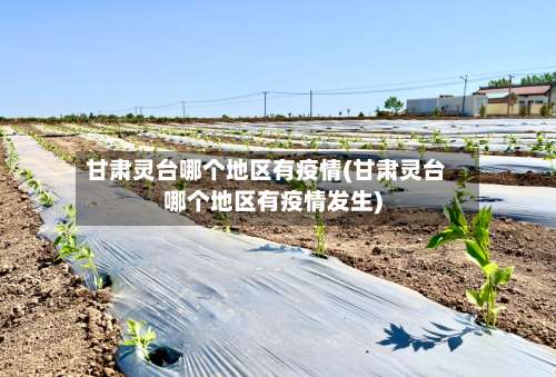 甘肃灵台哪个地区有疫情(甘肃灵台哪个地区有疫情发生)-第2张图片