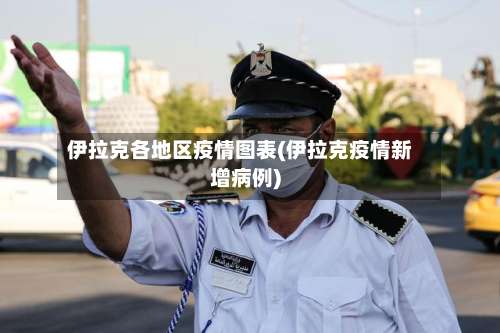 伊拉克各地区疫情图表(伊拉克疫情新增病例)-第2张图片