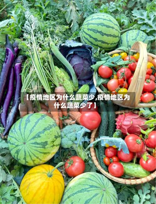 【疫情地区为什么蔬菜少,疫情地区为什么蔬菜少了】-第1张图片