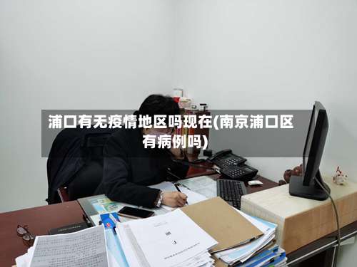 浦口有无疫情地区吗现在(南京浦口区有病例吗)-第2张图片