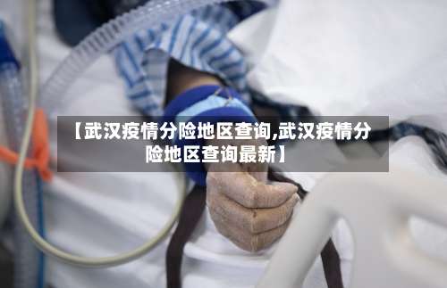 【武汉疫情分险地区查询,武汉疫情分险地区查询最新】-第1张图片