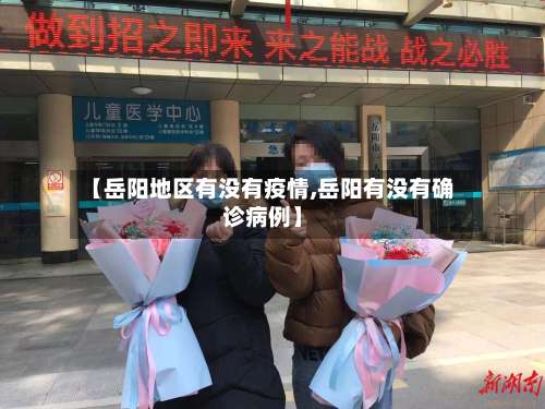 【岳阳地区有没有疫情,岳阳有没有确诊病例】-第2张图片