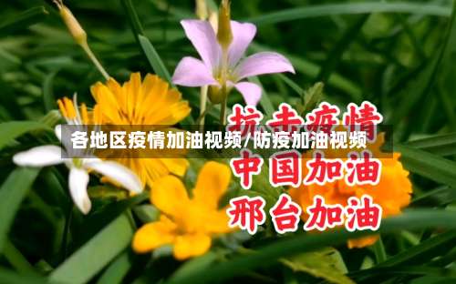 各地区疫情加油视频/防疫加油视频-第1张图片