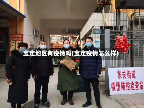 宝定地区有疫情吗(宝定疫情怎么样)-第1张图片