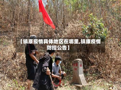 【镇康疫情具体地区在哪里,镇康疫情防控公告】-第3张图片