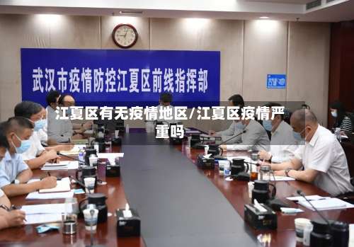 江夏区有无疫情地区/江夏区疫情严重吗-第2张图片