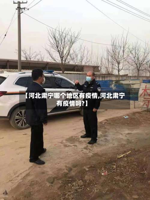 【河北肃宁哪个地区有疫情,河北肃宁有疫情吗?】-第3张图片