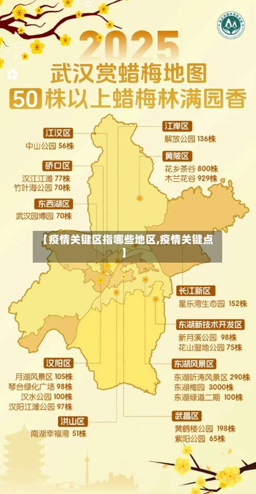 【疫情关键区指哪些地区,疫情关键点】-第3张图片