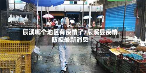 辰溪哪个地区有疫情了/辰溪县疫情防控最新消息-第1张图片