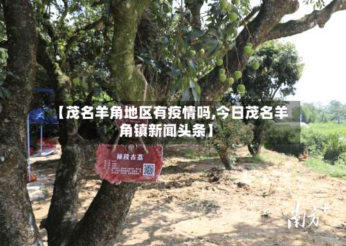 【茂名羊角地区有疫情吗,今日茂名羊角镇新闻头条】-第1张图片