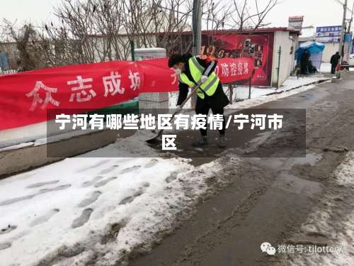 宁河有哪些地区有疫情/宁河市区-第3张图片