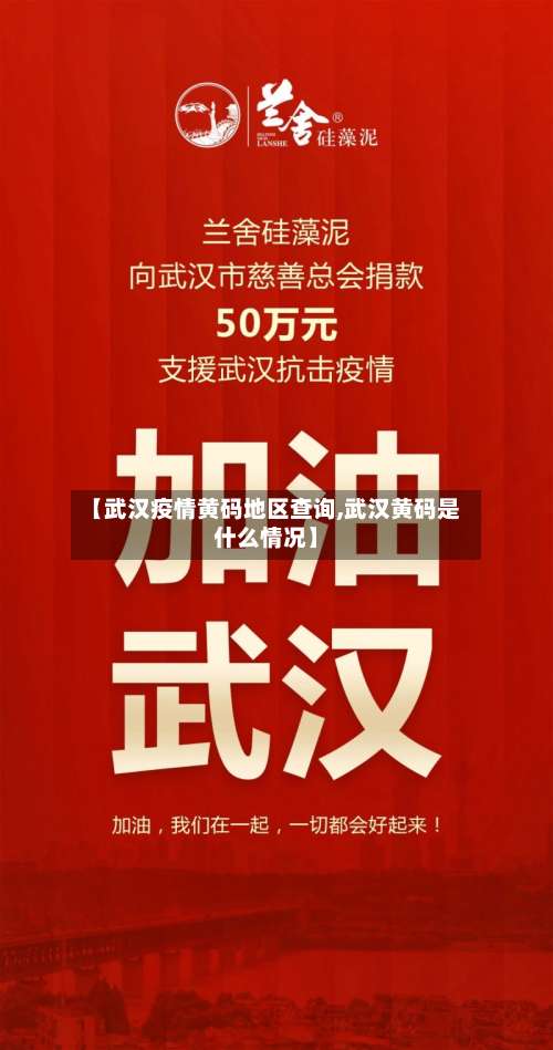 【武汉疫情黄码地区查询,武汉黄码是什么情况】-第2张图片