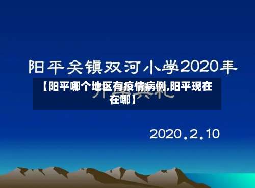 【阳平哪个地区有疫情病例,阳平现在在哪】-第3张图片