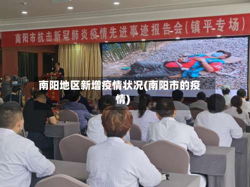 南阳地区新增疫情状况(南阳市的疫情)-第1张图片