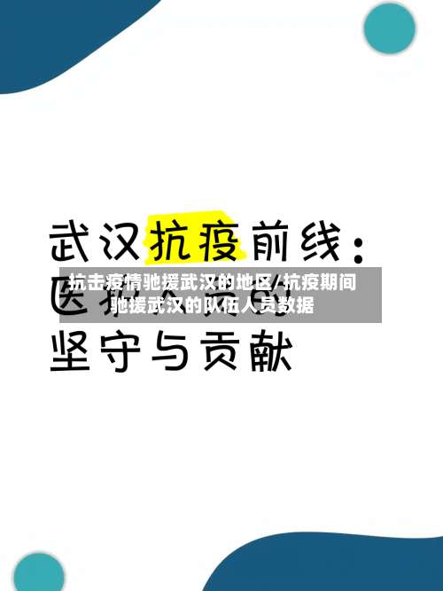 抗击疫情驰援武汉的地区/抗疫期间驰援武汉的队伍人员数据-第2张图片